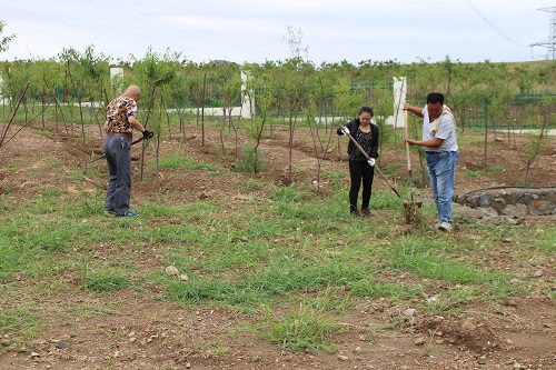 包頭殯儀服務 包頭殯儀服務