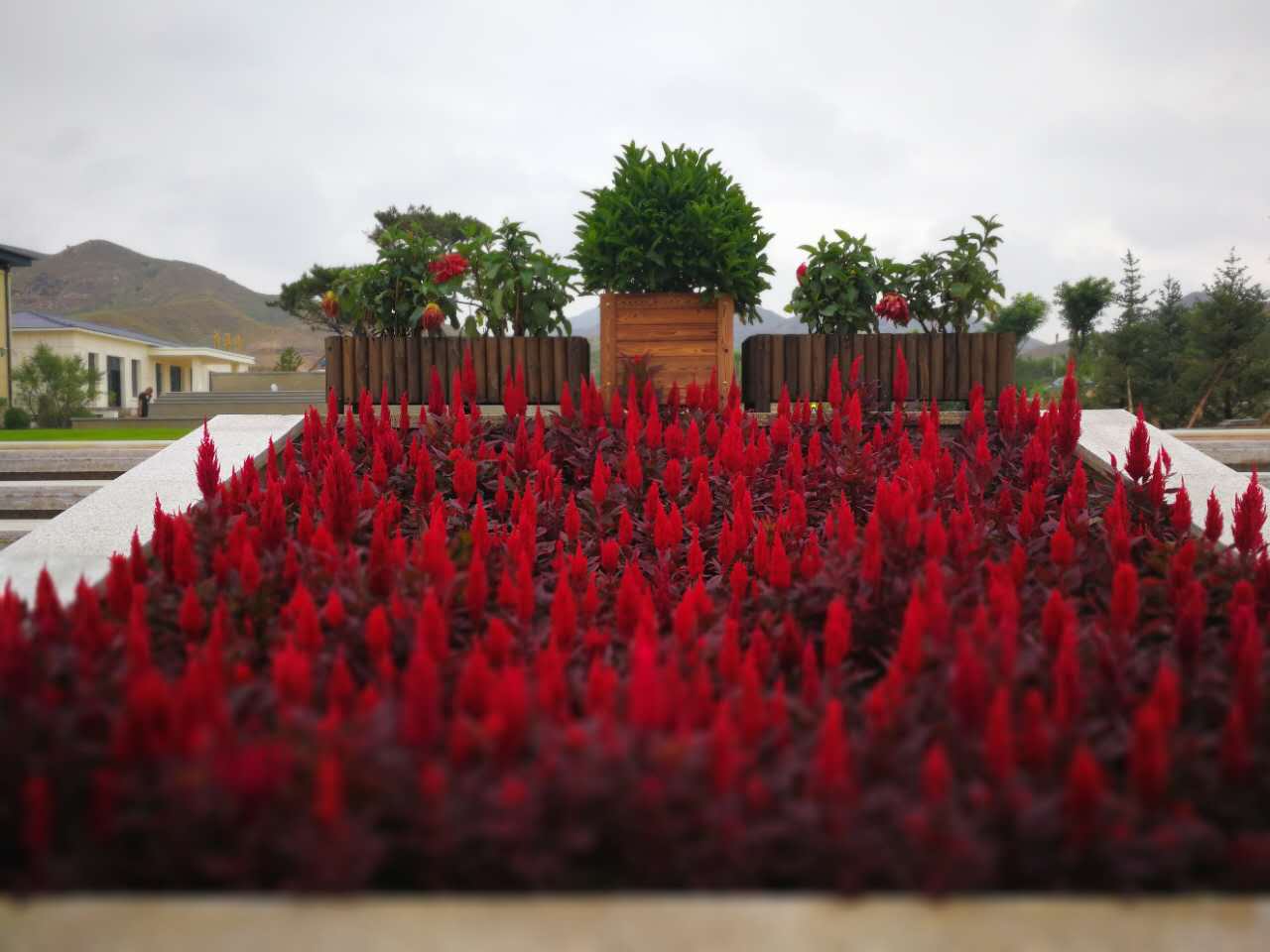 包頭公墓銷售 包頭公墓銷售